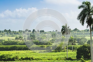 Cuba landscape in the countryside near Varadero