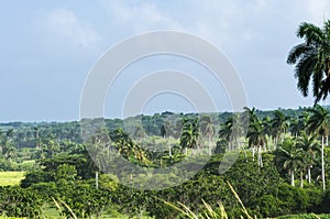 Cuba landscape countryside near Varadero