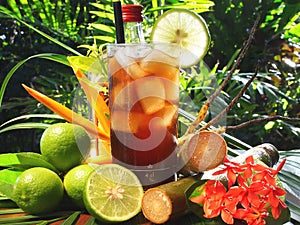 Cuba Libre Cocktail on Tropical Background