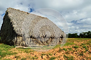 Cuba Shelter for the drying of tobacco leaves