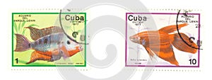 Cuba stamps with fish