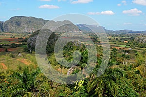 Cuba: The tabacco plantations in the region Vinales