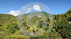 Cuba, Tourist trail into Pico Turquino tops