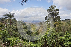 Cuba. View from a hill covered with jungle to the highlands and sea on the horizon