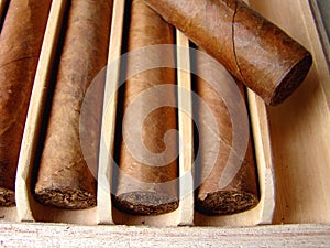 Cuban brown cigars photo