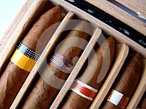 Cuban brown cigars photo