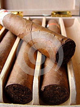 Cuban brown cigars