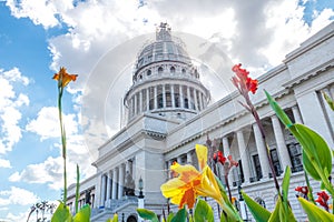 Cuban capitol sideshot, beautiful blue and cloudy sky. Flowers i