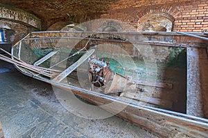 Cuban Chug Closeup at Fort Jefferson