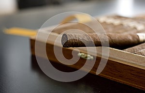 Cuban Cigar