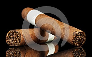 The cuban cigars