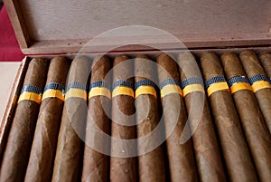 Cuban cigars photo