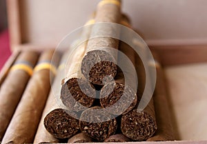 Cuban cigars photo