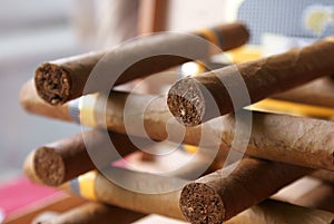 Cuban cigars