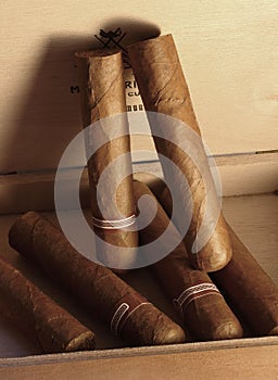 Cuban cigars in box