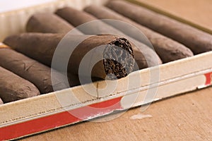 Cuban Cigars in box photo