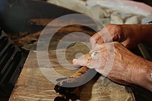 Cuban cigars crafter's hands rolling raw cigars
