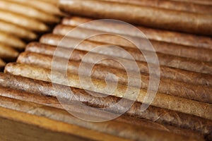 Cuban cigars in a large pile inside a humidor