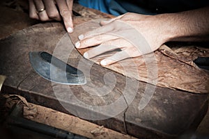 Cuban cigars in the making