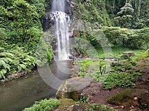 views that refresh the eyes and mind