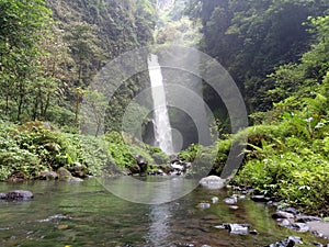 Views that refresh the eyes and mind