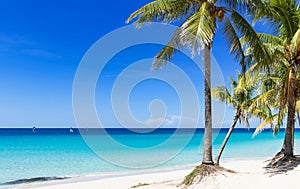 Cuban dream beach with palms in Varadero - Serie Cuba Reportage