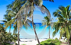 Cuban dream beach with palms in Varadero - Serie Cuba Reportage