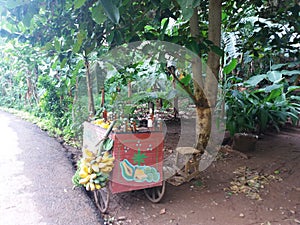 Sul cubano strade. natura la giungla un il sole 