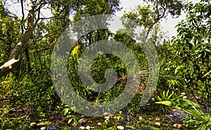 Cuban swamp - Peninsula de Zapata National Park / Zapata Swamp, Cuba