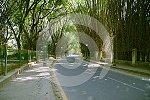 Cubbon Park, Bengaluru (Bangalore)