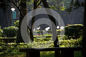 Cubbon Park in Bengaluru, Karnataka, India at daylight