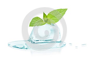 Cube of ice and leaf mint