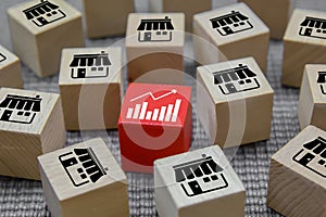 Cube wooden toy blogs with graph icon and franchise business store icon.