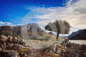 Cuber resevoir, lake, Puig Major, Tramuntana, trees,rocks, sunlight, blue sky, white clouds, turquoise water, Mallorca, Spain