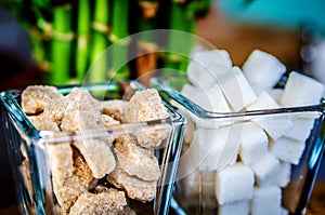 Cubes of brown and white sugar in transparent glasses against a background of green bamboo.