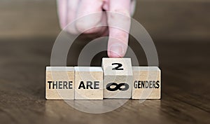 Cubes form the expressions 'there are infinite genders' and 'there are two genders'.