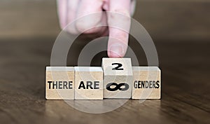 Cubes form the expressions 'there are infinite genders' and 'there are two genders'. photo