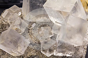 Cubes of Halite mineral