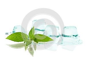 Cubes of ice and leaf mint