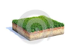 Cubic cross section of ground with grass, ecology, geology concept, soil sample isolated on white, 3d rendering