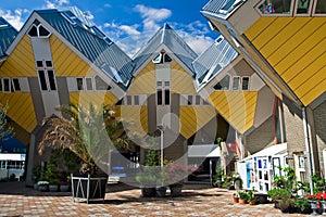 Cubic houses in Rotterdam photo