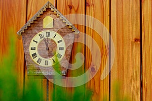 Cuckoo clock with Roman numerals on a wooden wall. Copy space.