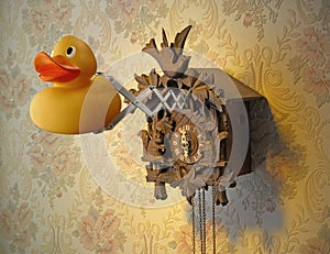 Cuckoo Clock with rubber duck