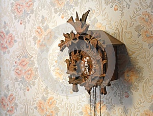 Cuckoo clock photo