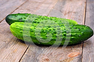 Cucumber