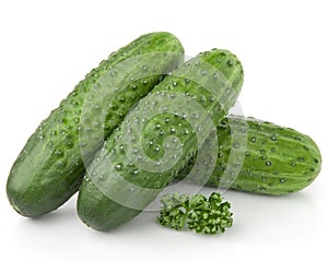 Cucumber