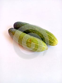 Cucumber