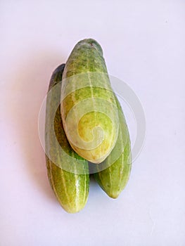 Cucumber