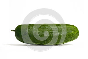 Cucumber