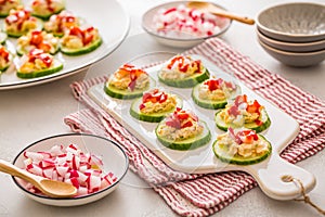 Cucumber appetizers with tuna and salmon spread with radish, fingerfood, healthy bits